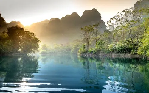 高性能高端电子